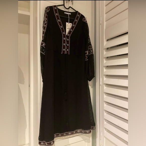 Gorgeous Zara midi dot mesh dress embroidered with sheer sleeves - Picture 6 of 9